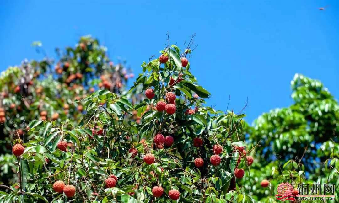 wechat_upload162413028060ce42e84434a