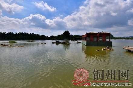b84275a3gy1gst3ke2dffj20xc0m80xl.jpg