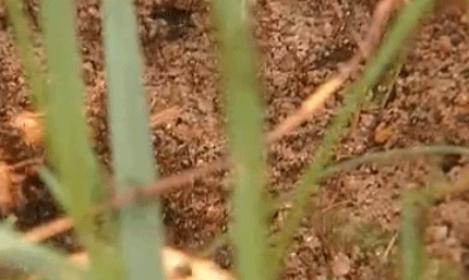 cb99ddca07126e80f9e67d59acf469b9.gif