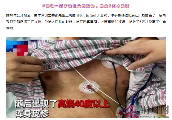 452bcb03a1249097fead7483e8ee22fc.png