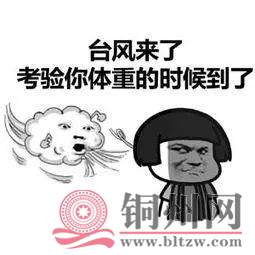 386024e96c014dd57b467b226e8abfc9.jpg