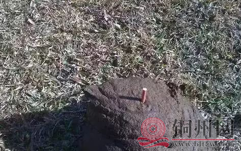 97e0a30825ad6e4f123b353c508c17cb.png