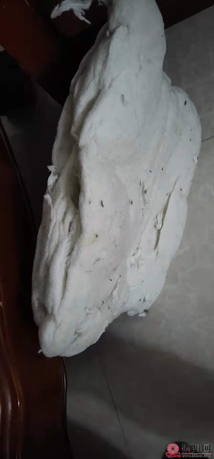 wechat_upload1635743330617f76628315e