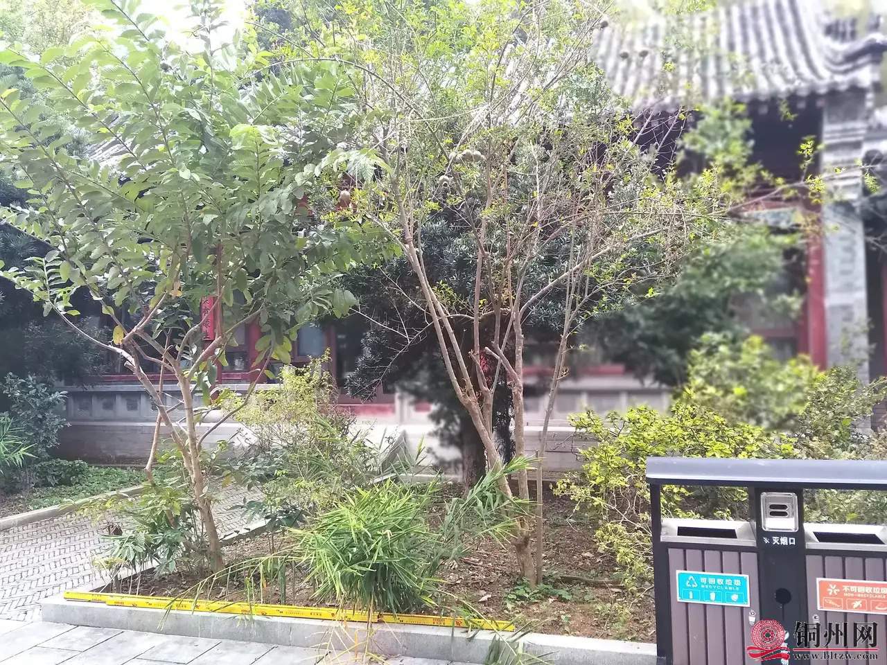 wechat_upload16358956266181c94ab09c0