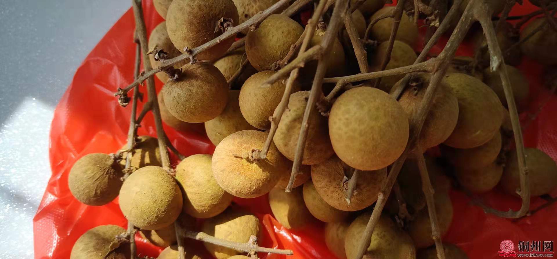 wechat_upload1636259545618756d938de1