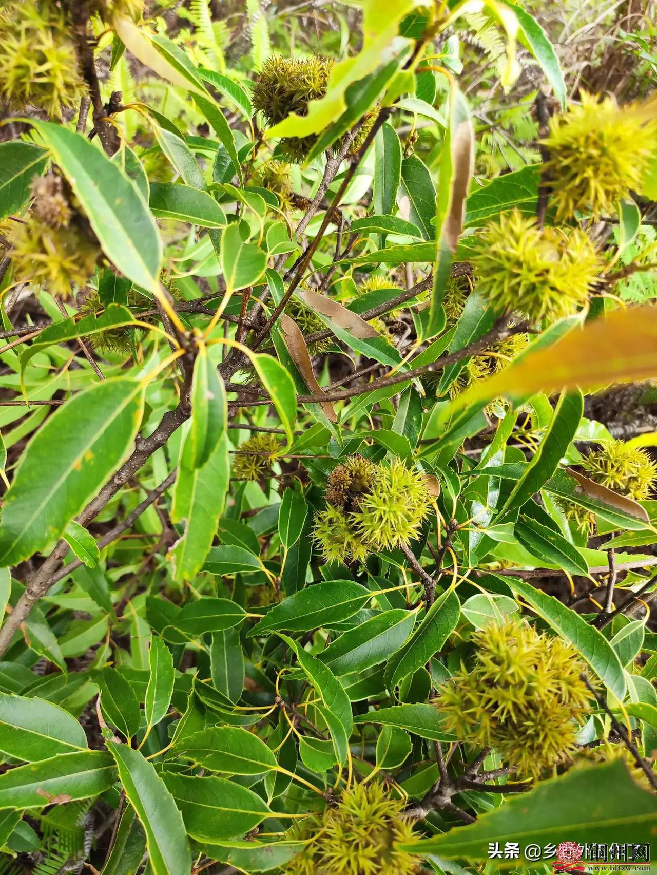 wechat_upload16363569796188d37357d47