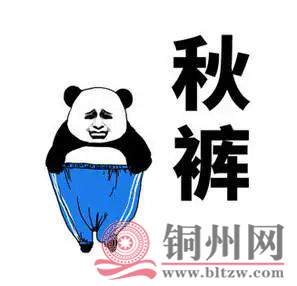 5ade1cdd4a6a4c7b0eb8b3fa7150aee0.jpg