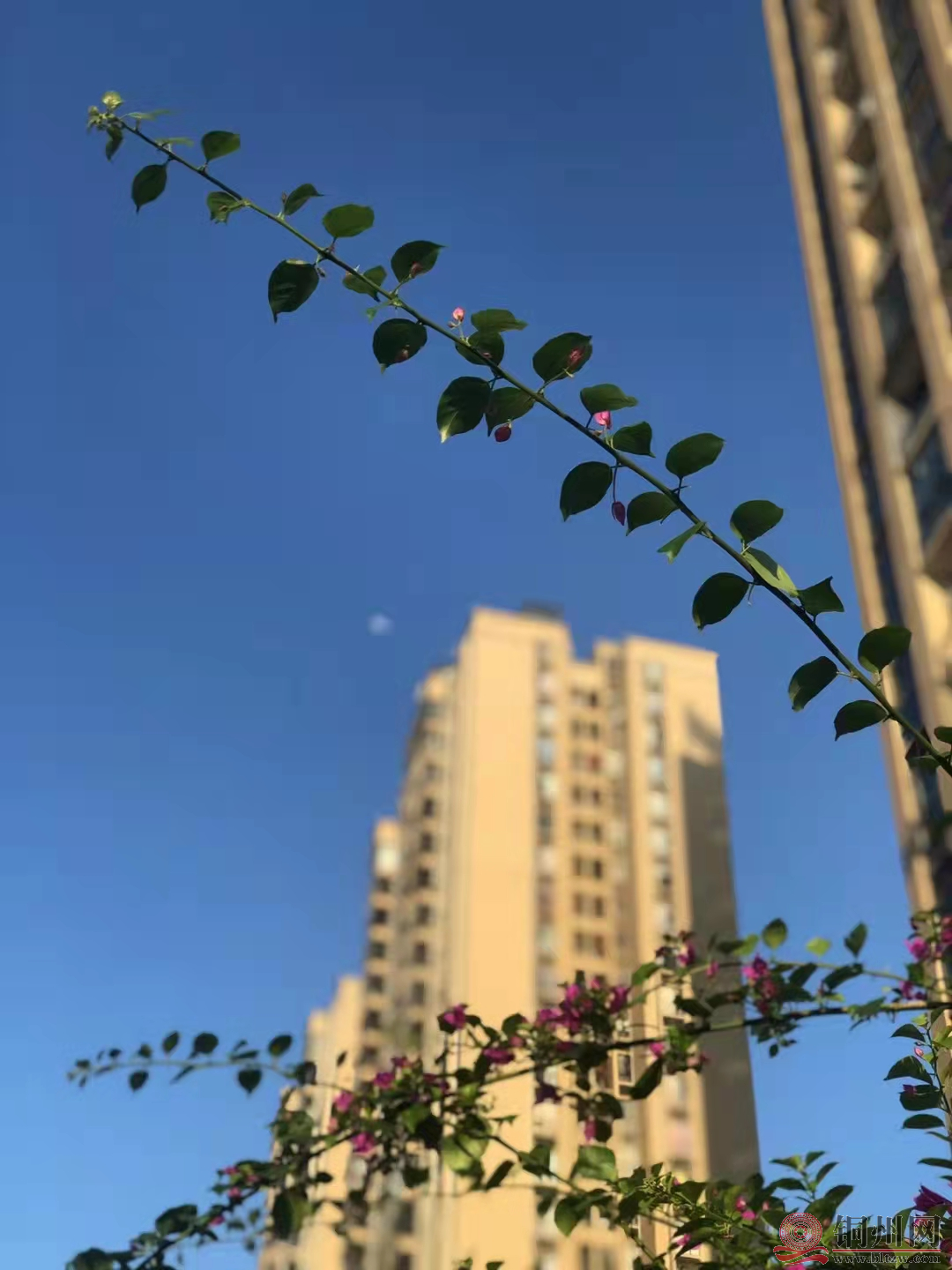7b39384f5118c3d3ec0ec88d96465ce9.png