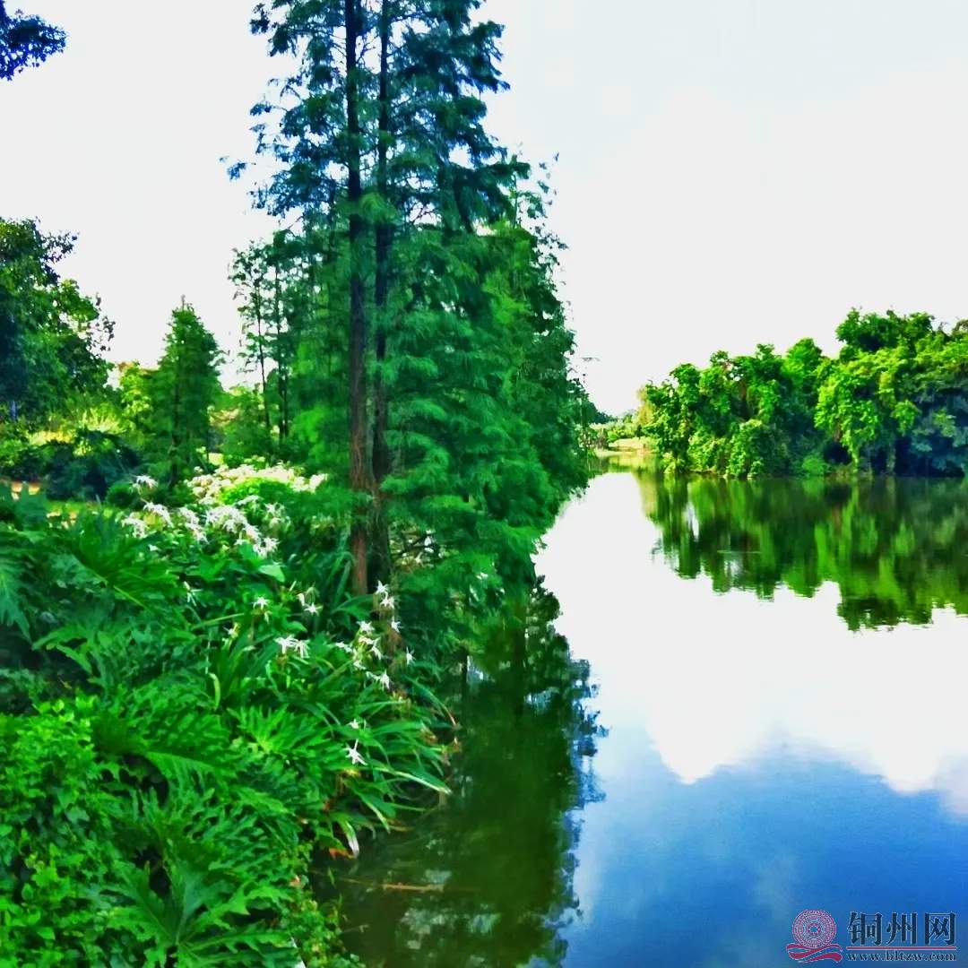 28953ea1c8ed4d408c1da44e5f6389d2~tplv-obj_1080_1080.webp.jpg