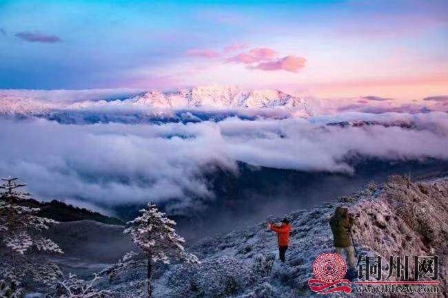 wechat_upload164060438161c9a2dd79e62