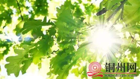 wechat_upload164250486261e6a29e47913