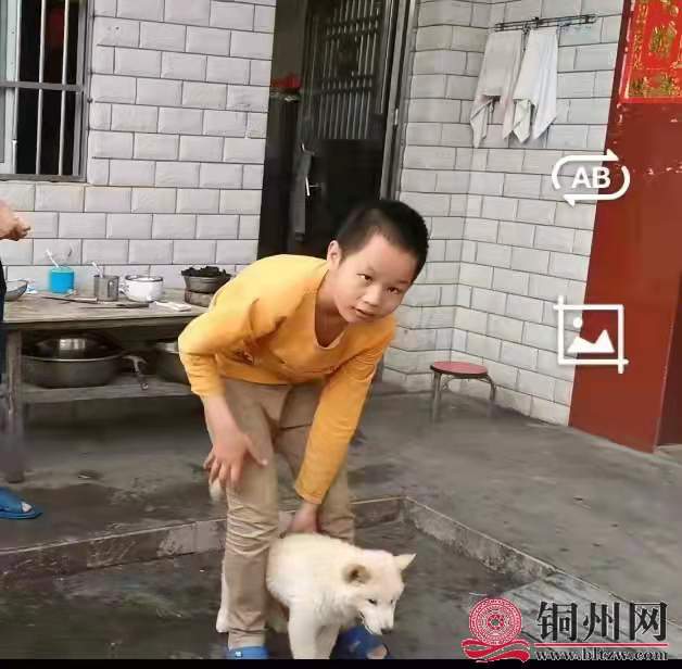 wechat_upload164259729661e80bb027fc8