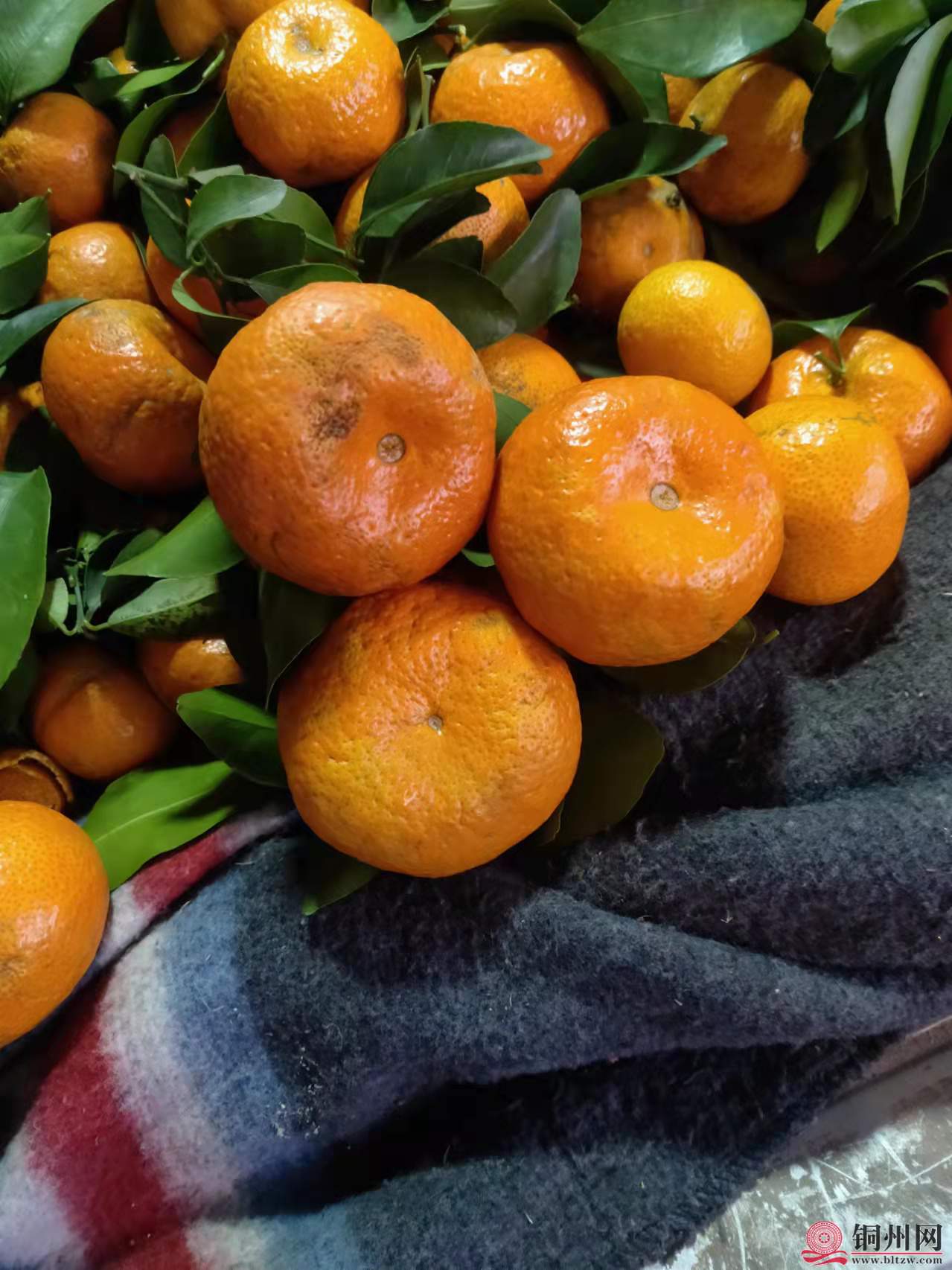 wechat_upload164290111161ecae778700e