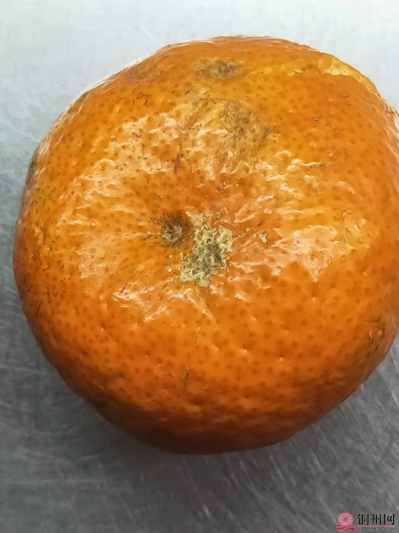 wechat_upload164290113661ecae9031b49