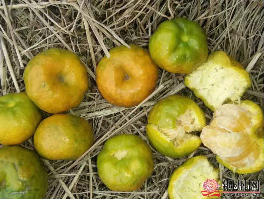 wechat_upload164290113761ecae919b847