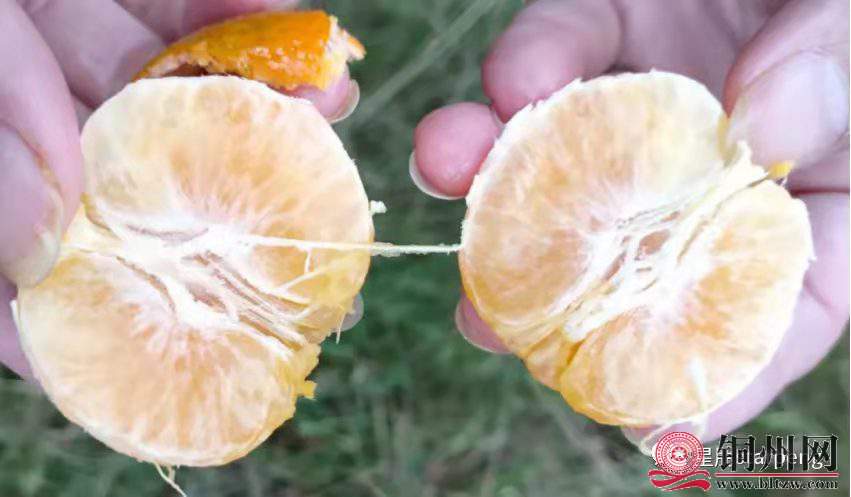 wechat_upload164290113761ecae912a704