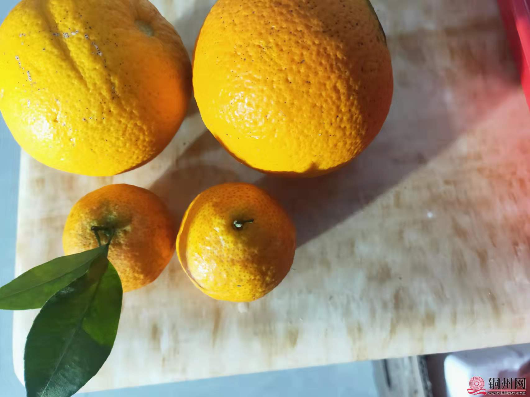 wechat_upload164290431261ecbaf8022b5