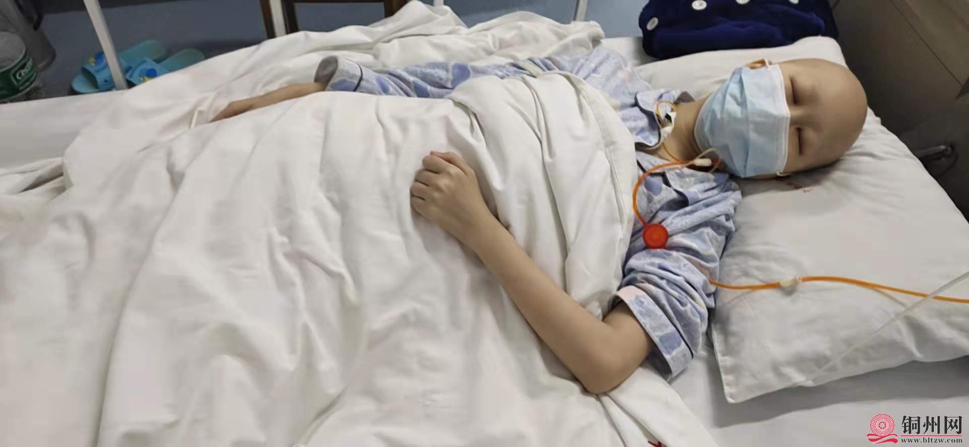 wechat_upload164325850861f2228cc1c19