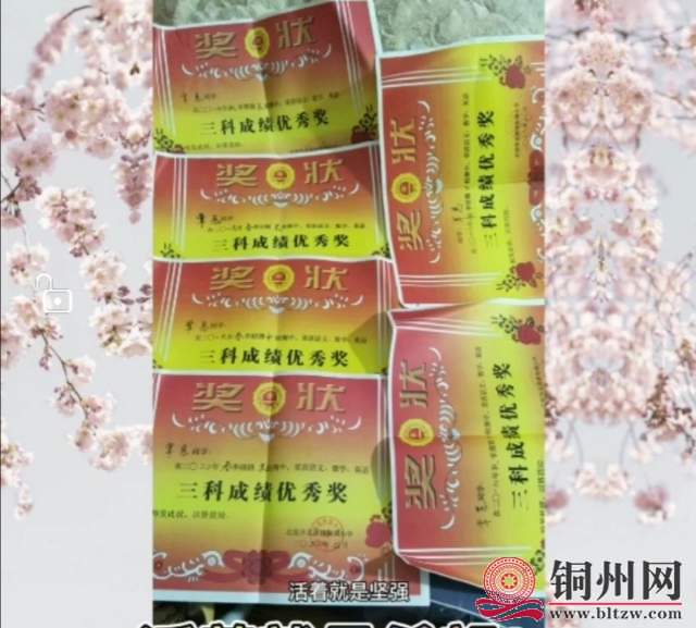 wechat_upload164373649561f96dafeeda5