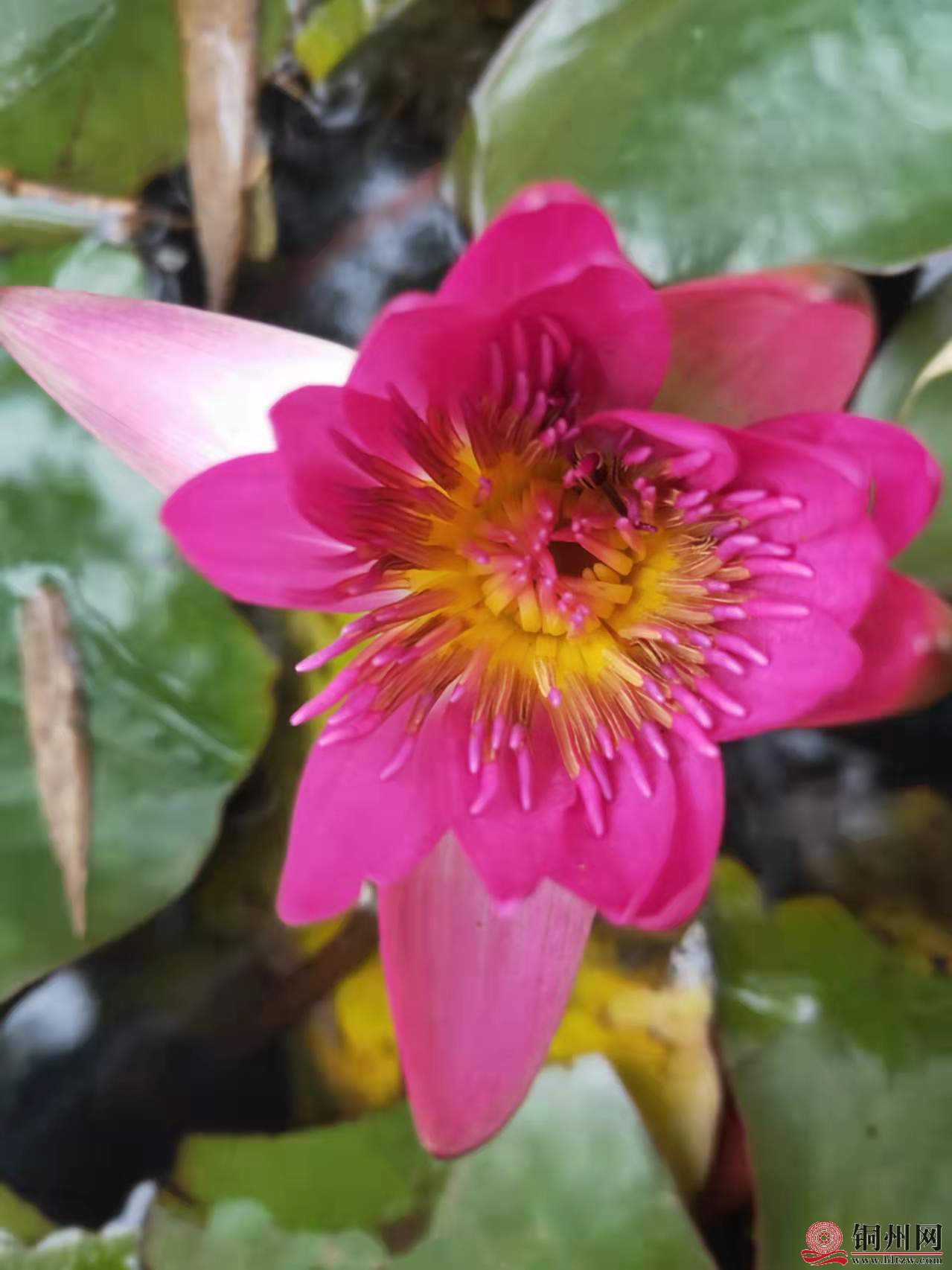 wechat_upload164413924161ff92e9221b9