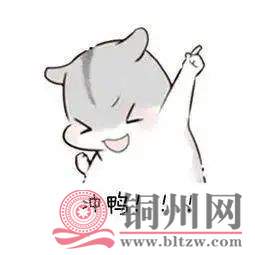 6c80bebd0cc4fc7bef45441cf1dd7851.jpg