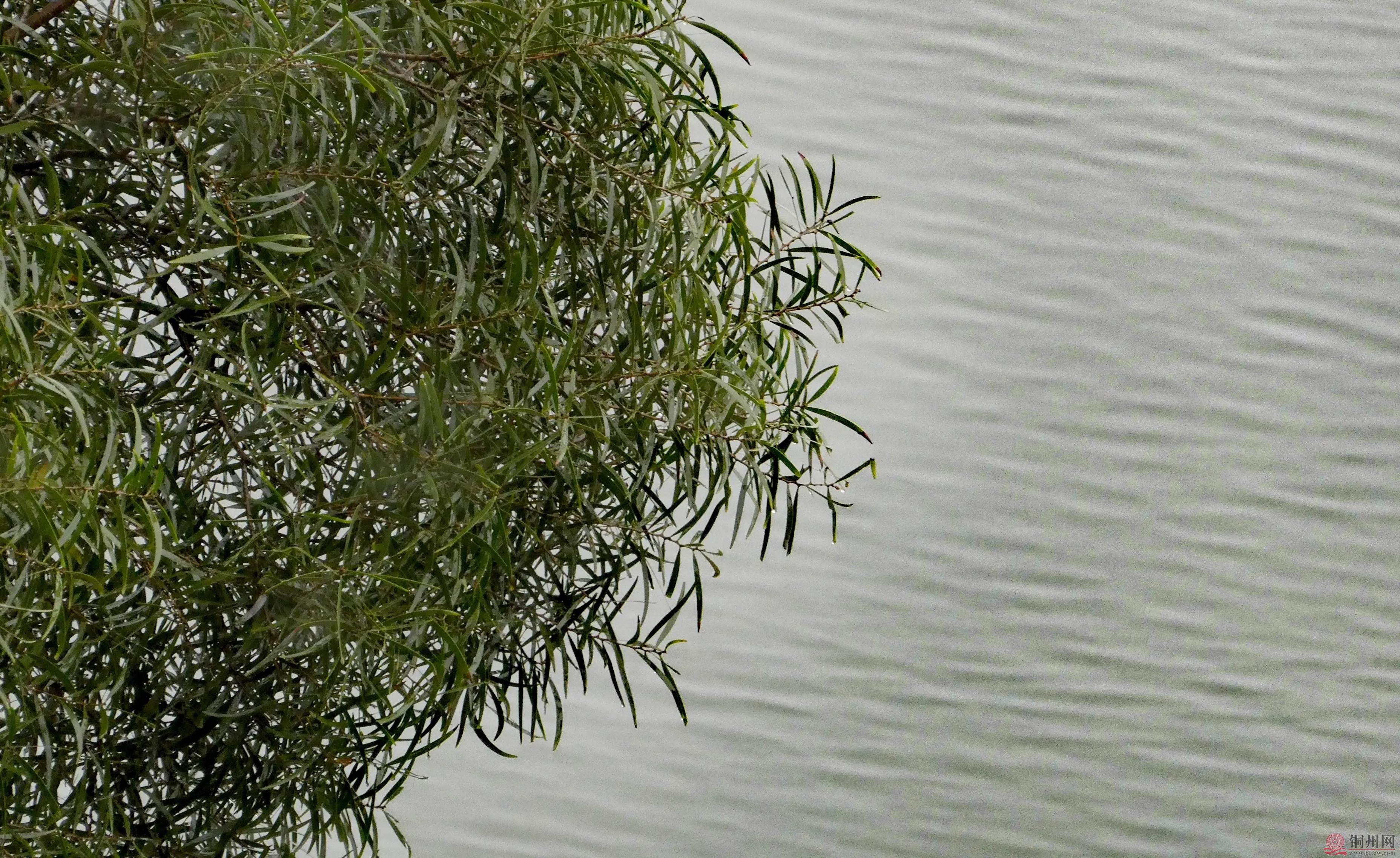b0e2457bc8274713b66d776ee3294c57~tplv-obj_3712_2277.webp.jpg