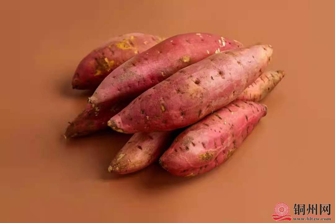 wechat_upload1646073261621d15ad5c153