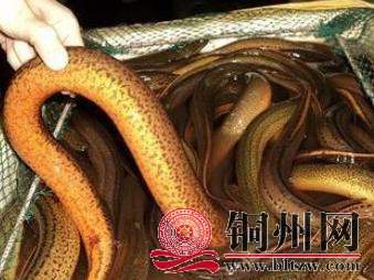 wechat_upload1646990135622b133703f4d