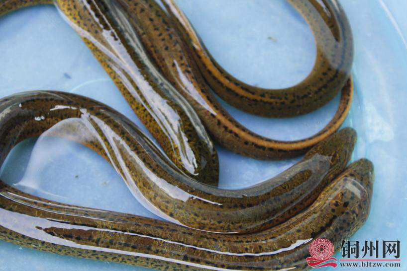 wechat_upload1646991240622b178841ac6