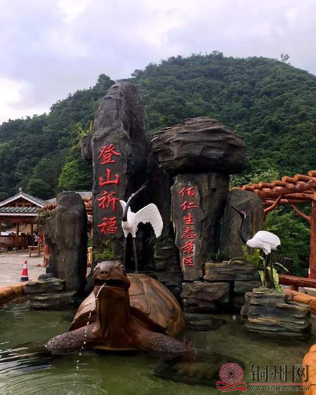 da010077d2994533813d147dae48e011~tplv-obj_640_799.webp.jpg