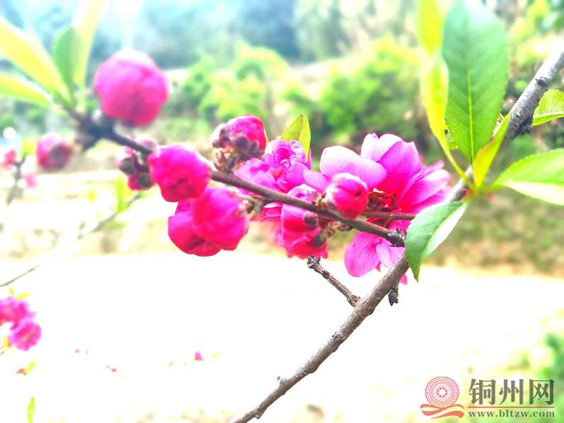 9309cecb0f4349569e5e4bdf119b70ac~tplv-obj_3968_2976.webp.jpg