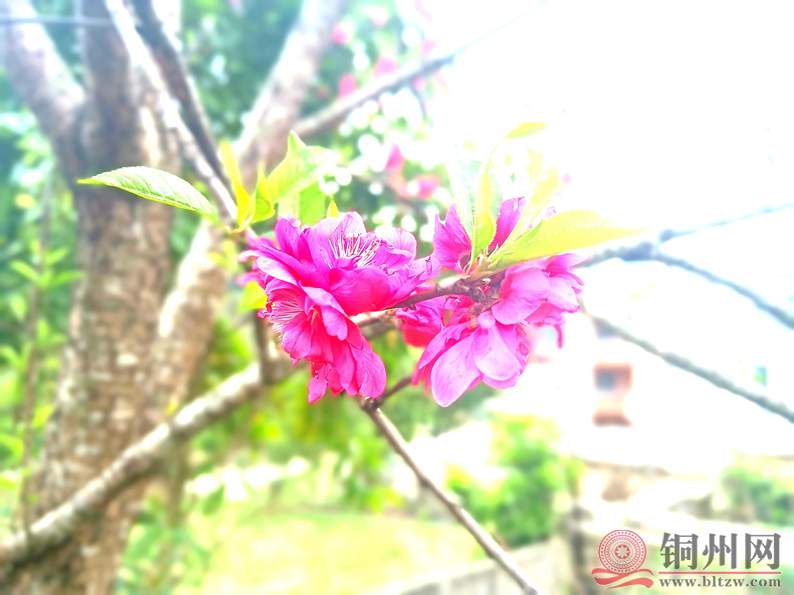 af3b28833b5d4531b6981bcbf52c4036~tplv-obj_3968_2976.webp.jpg