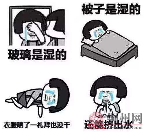 632ac67eea72d3ce83a66d353ce80c69.jpg