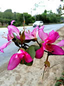 6b0fec4d5d17448badef125973a8f8a4.jpg