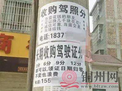 492bf90ac01482a0e02c79ff14300a1e.jpg 492bf90ac01482a0e02c79ff14300a1e.jpg