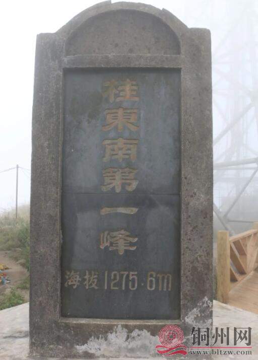 QQ截图20220818214741.jpg