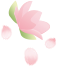 9c51e34eb143f77c55939fc93ad27970.png