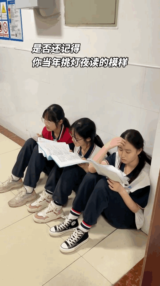 d939cc12d31586fdd14a1d79ab514664.gif