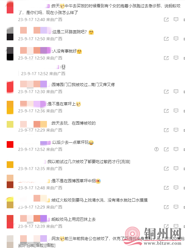 9256981910c41dbd69182bd614c76c38.png