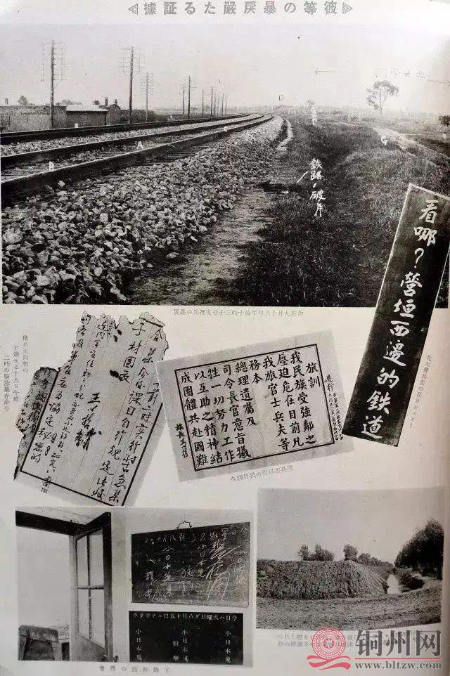 fc84bc2dd07a082786e9402f28ba25d1.jpg