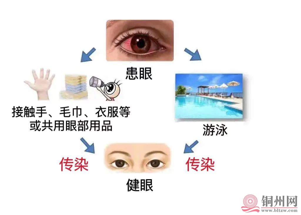 c54670d4ca6628f609def4258dc59670.jpg