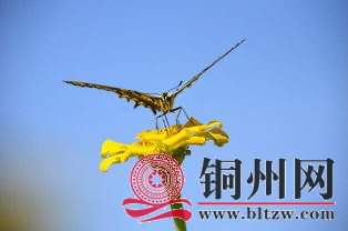 wechat_upload16988694836542b0eb2abcb