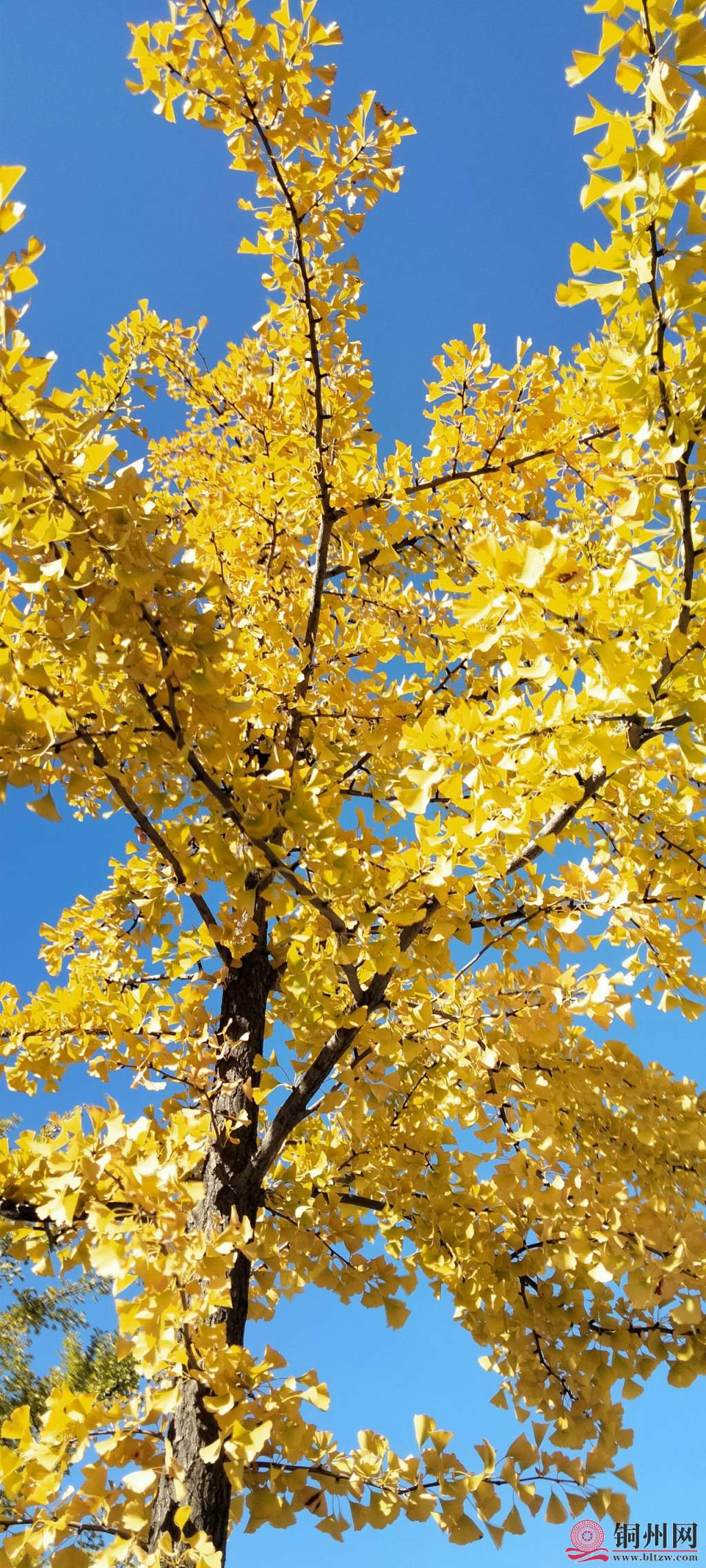 4777576_b03f8f095f795fd9c7d5d4cf39d0ae84.jpg