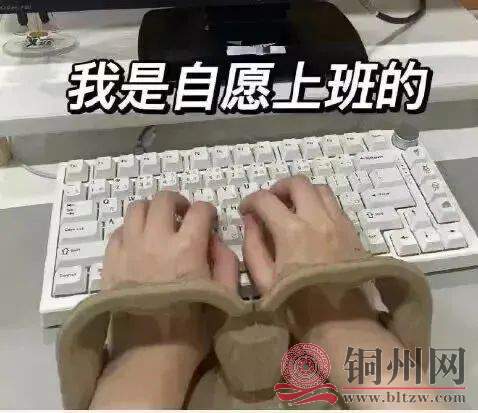 bf50cdde56ce4306e12c4c818d02ab44.jpg