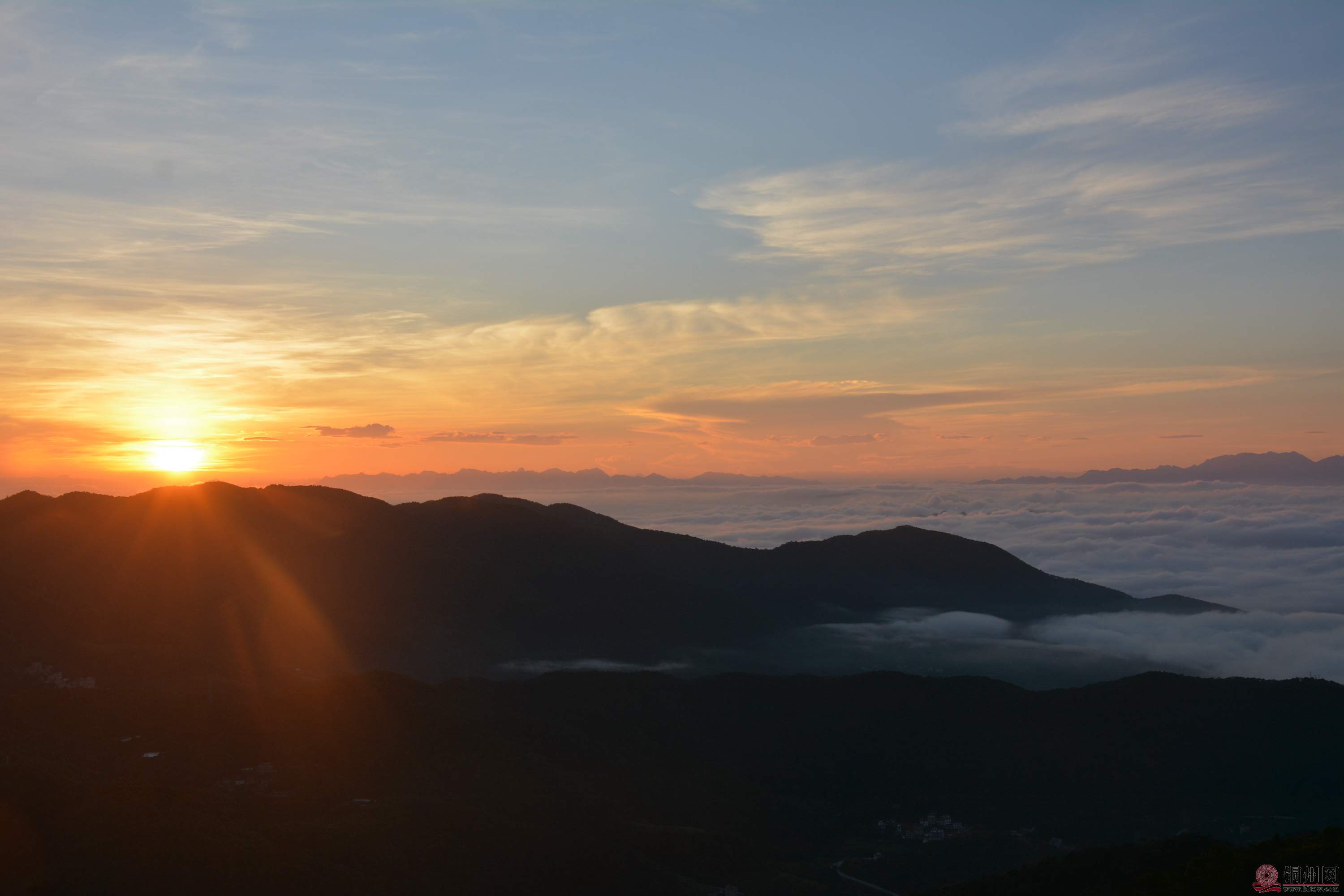 DSC_7796.JPG