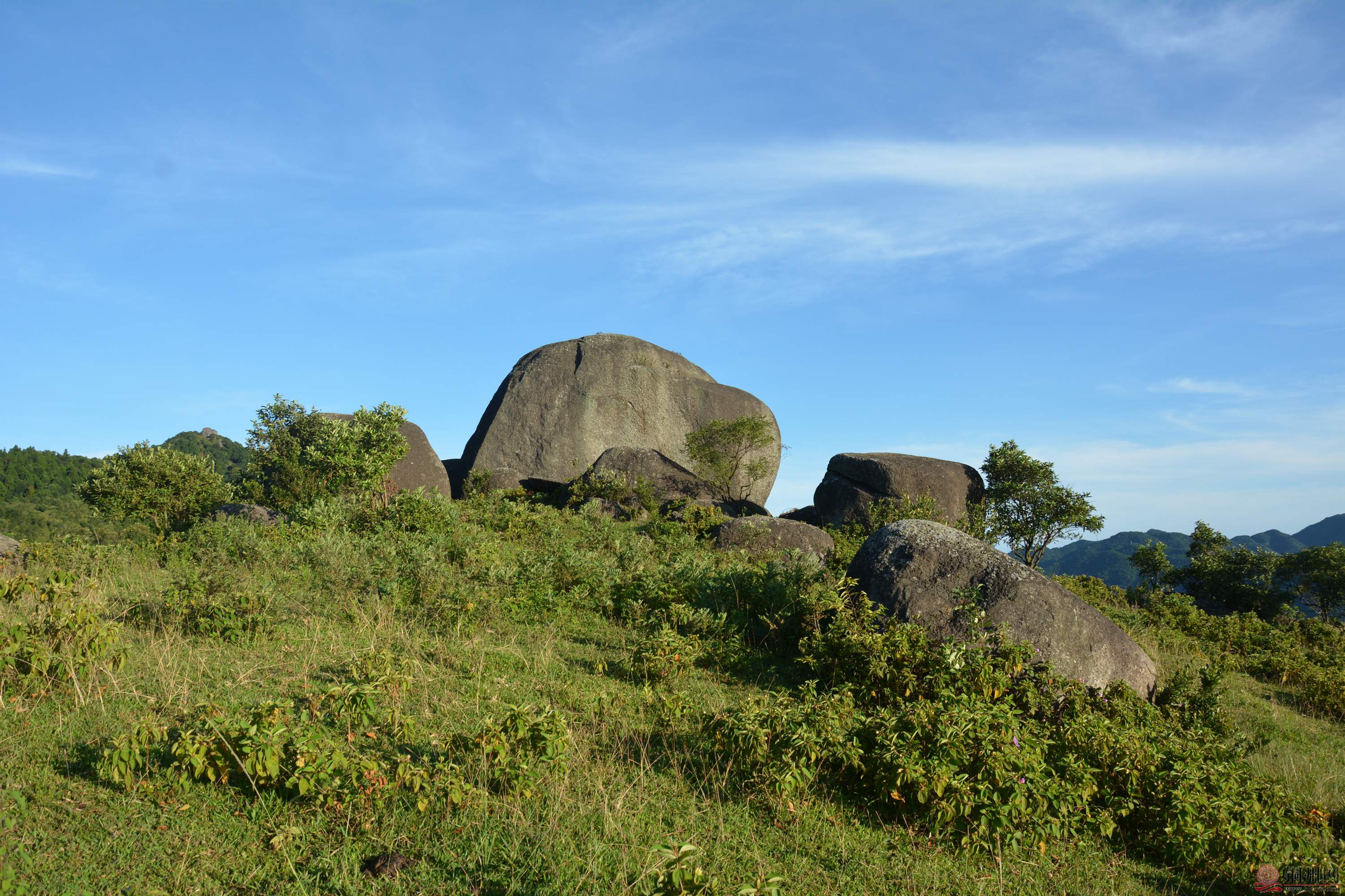 DSC_7886.JPG