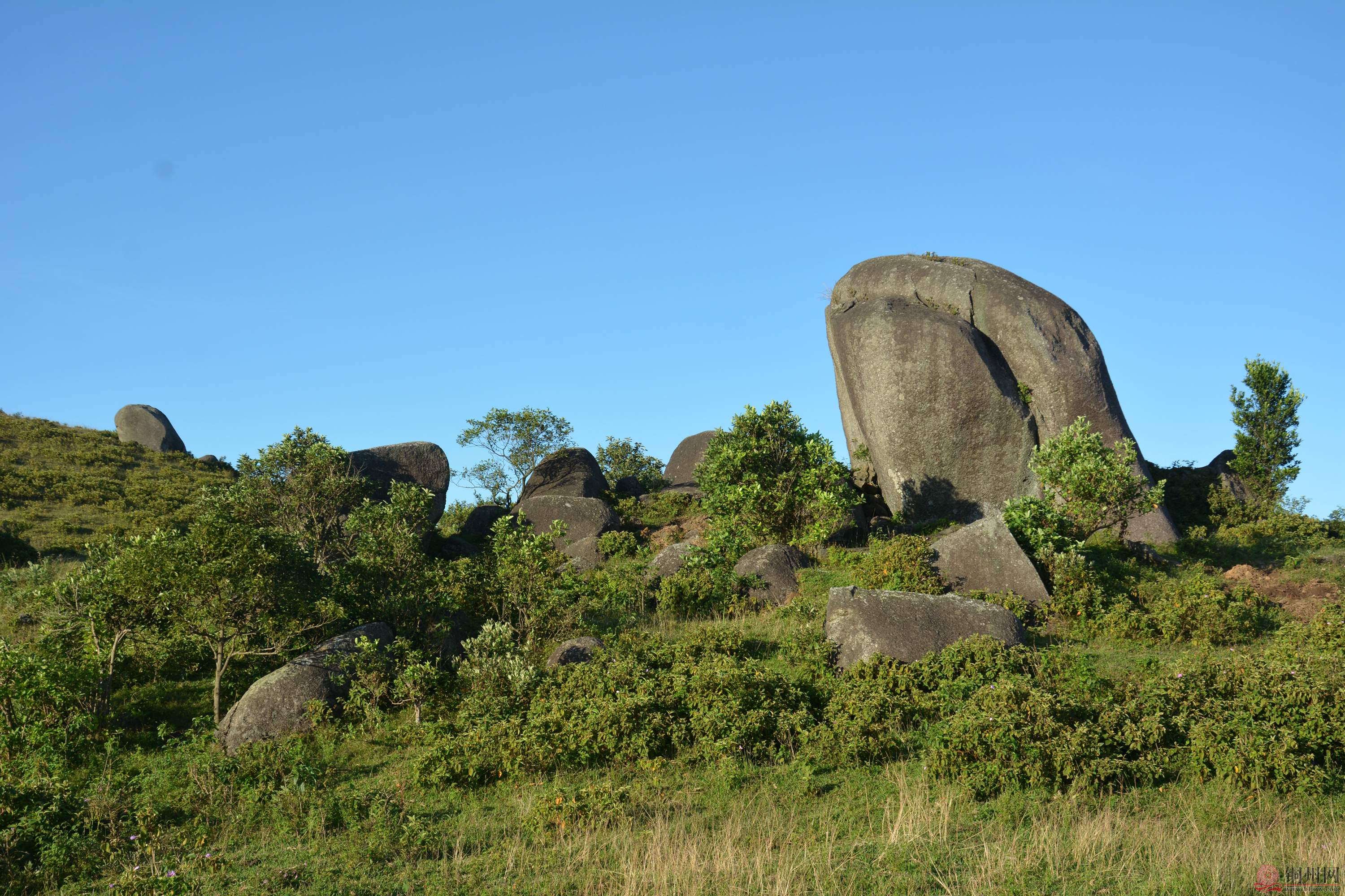 DSC_7891.JPG