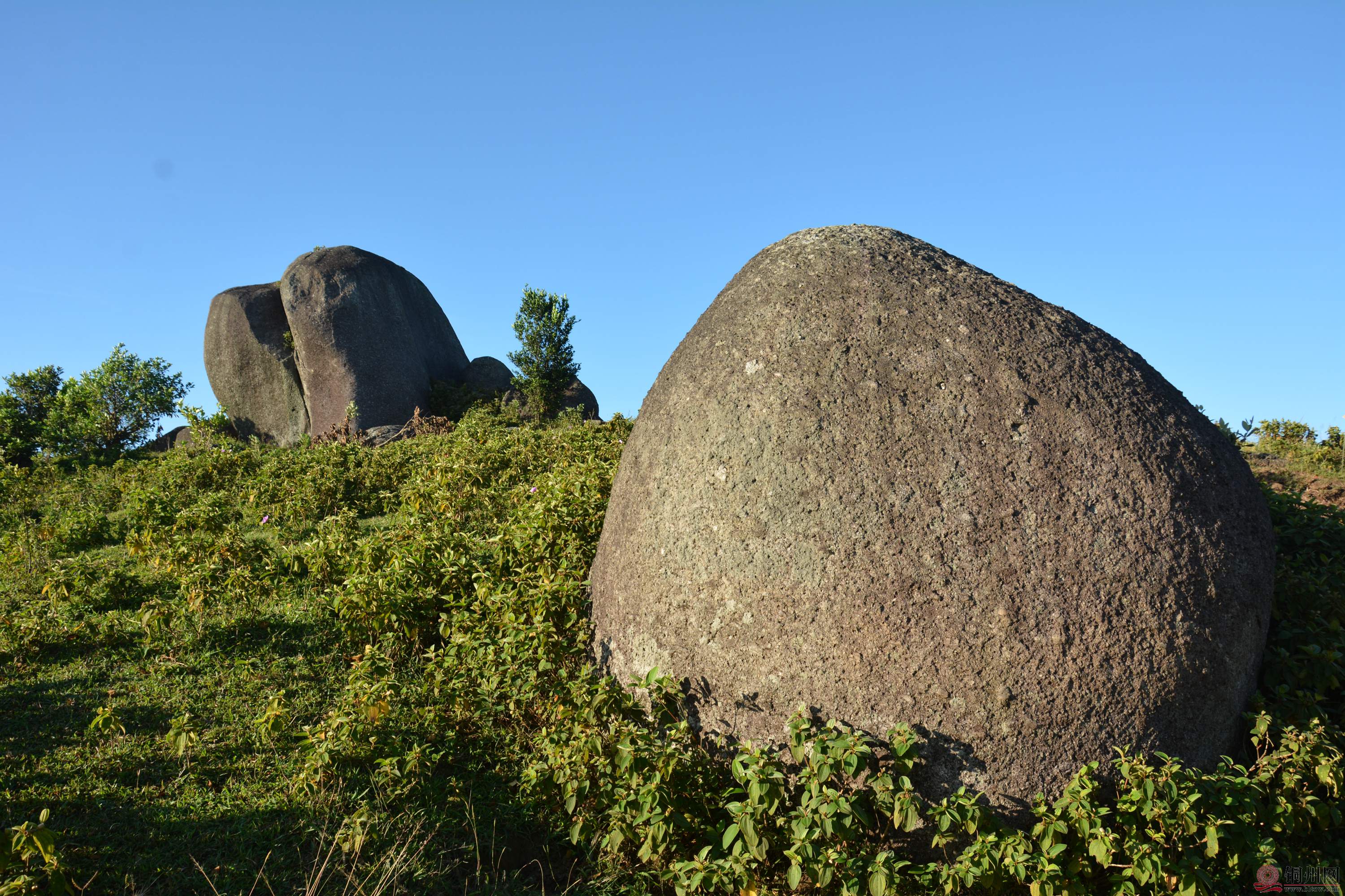 DSC_7898.JPG