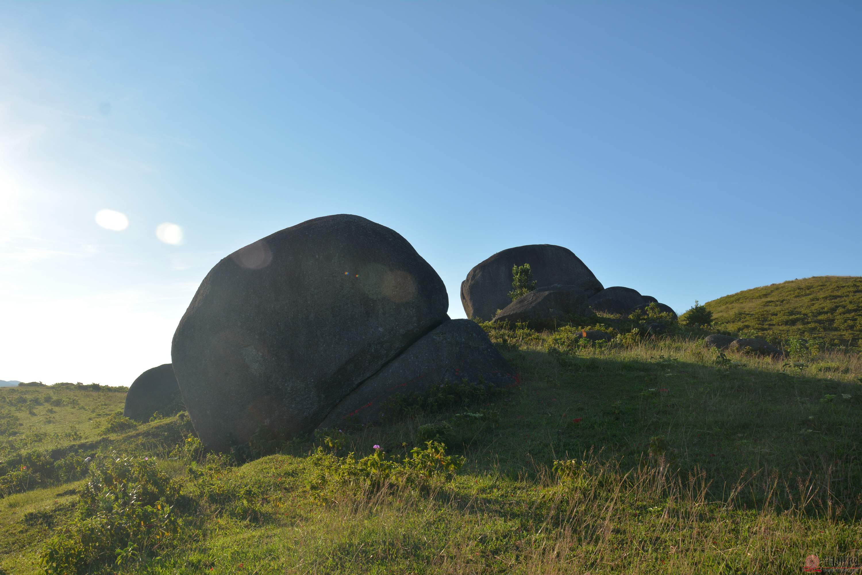 DSC_7910.JPG
