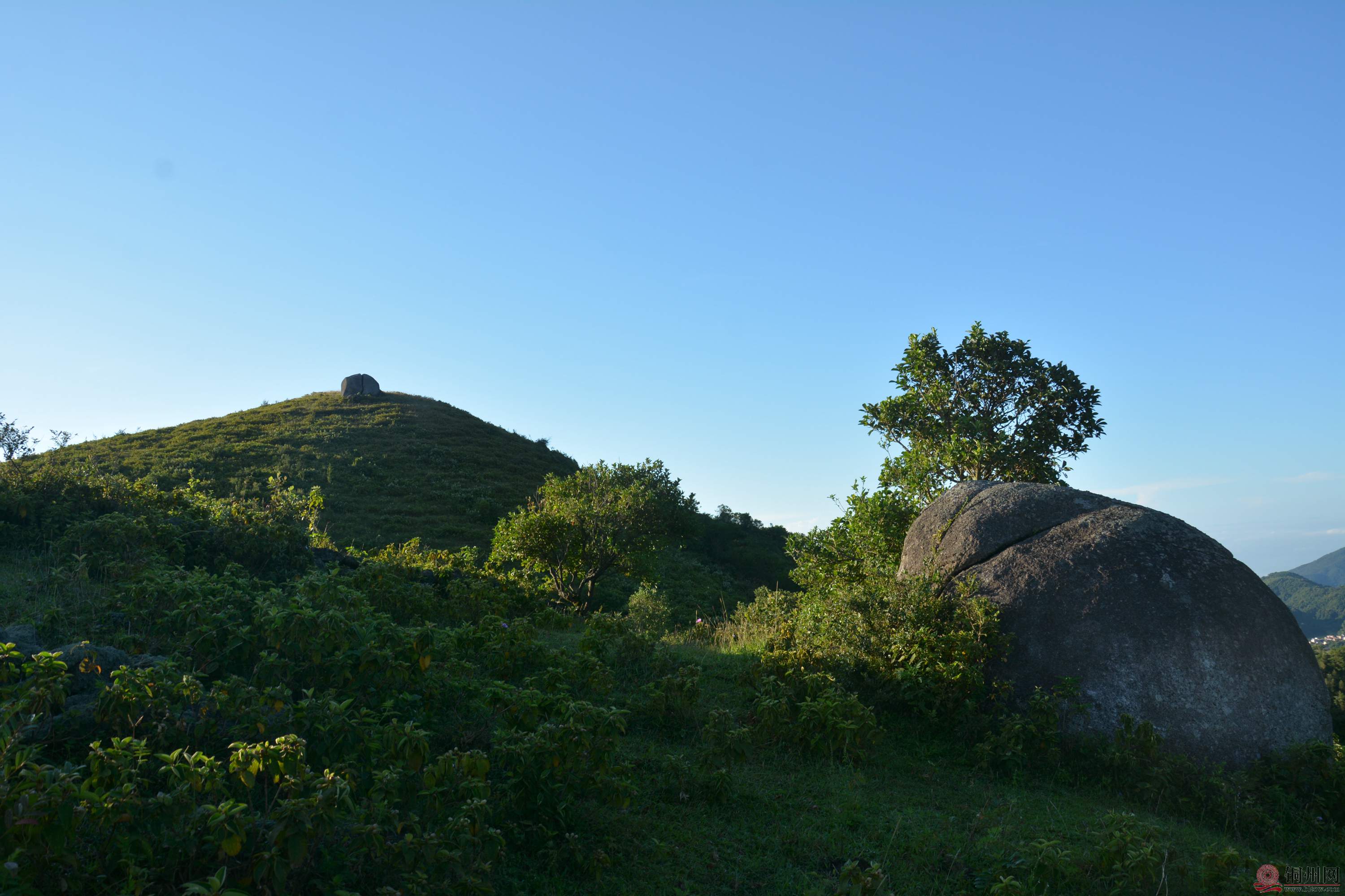 DSC_7913.JPG